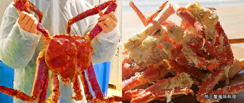 帝王蟹風味料理